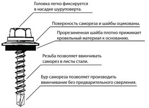 Конструкция кровельного самореза Конструкция кровельного самореза